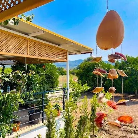 Ataköy Ipek House *